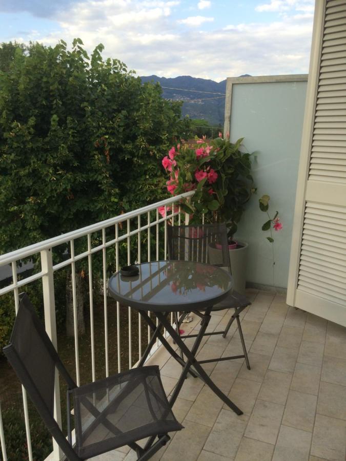 La Brise Hotel Marina di Pietrasanta Eksteriør billede